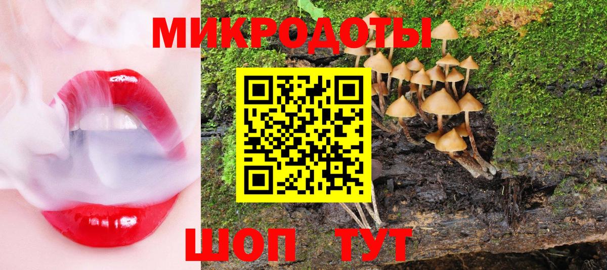 Псилоцибиновые грибы мухоморы Обнинск